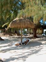 leenie lounge in moorea 2 